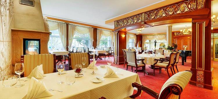 贝尔维尤莱恩酒店(Bellevue Rheinhotel)图片