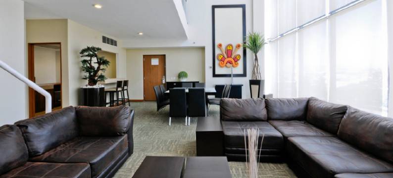 伊拉普阿托假日酒店(Holiday Inn IRAPUATO by IHG)图片