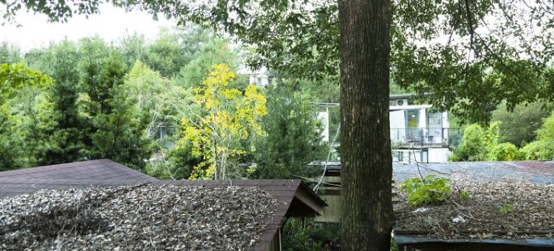 小筑客服12138图片