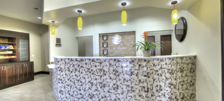 沃斯堡西I-30 NAS JRB的舒适酒店及套房(Comfort Inn & Suites Fort Worth West I-30 Nas JRB)图片