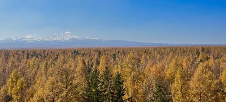 黄松浦林场林涧小院图片