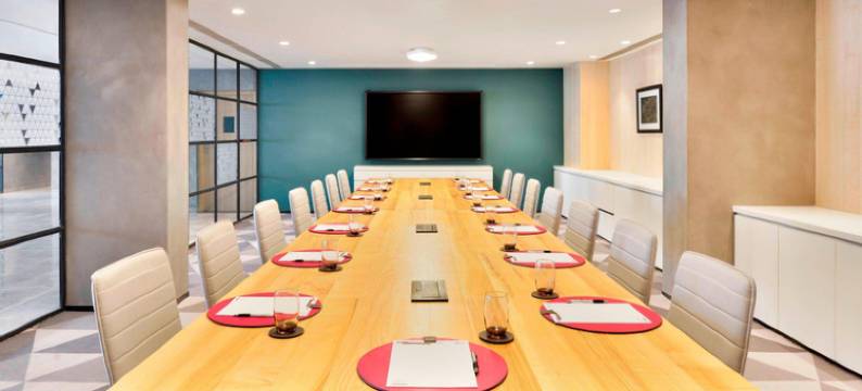 新德里航空城雅乐轩酒店(Aloft New Delhi Aerocity)图片