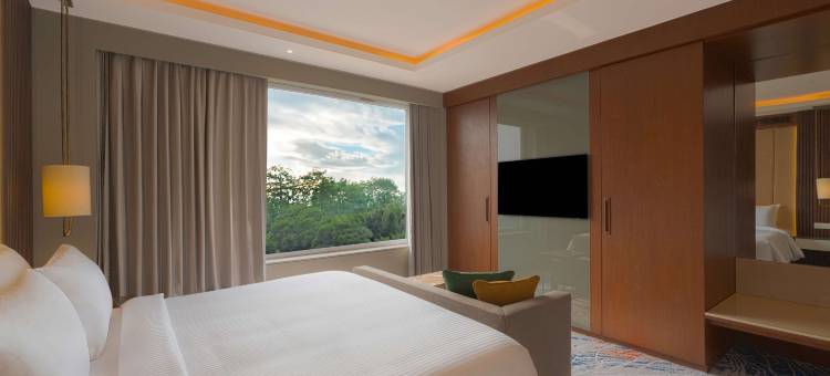 雅佳的丽柏酒店(Hotel Park Inn by Radisson Ayodhya)图片