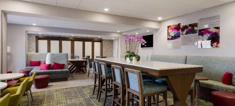 汉普顿康科德(Hampton Inn by Hilton Concord)图片