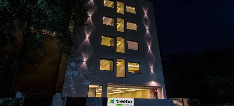 翠柏粉红城大酒店(Treebo Pink City Grand)图片