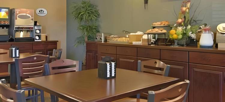 费尔维尤高地-圣路易斯速8酒店(Super 8 by Wyndham Fairview Heights-St. Louis)图片