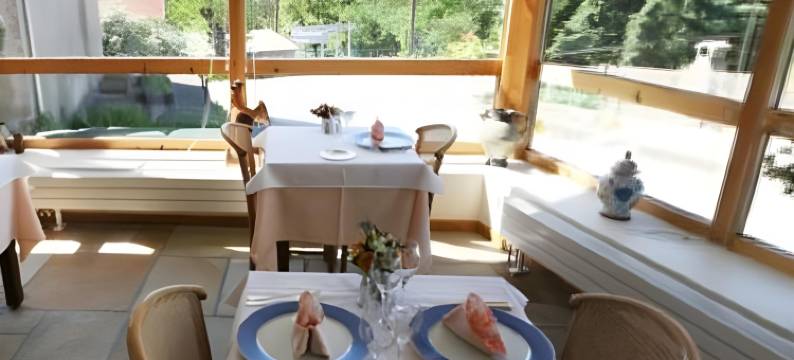 莱斯柴纳茨酒店(Hotel les Chenets)图片