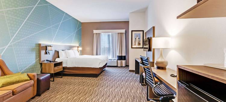 舒适套房酒店(Comfort Suites)图片