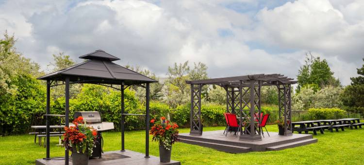 舒适酒店(Comfort Inn)图片