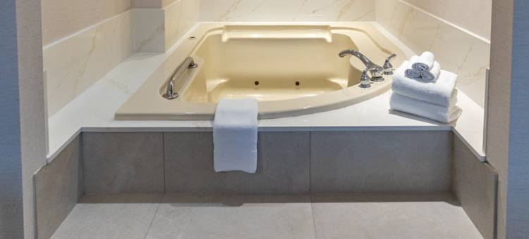 Holiday Inn & Suites 大路会议中心(Holiday Inn & Suites ST. Catharines Conf Ctr)图片