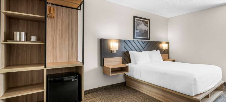 贝斯特韦斯特布法罗酒店及套房(Eva Hotel, BW Signature Collection)图片