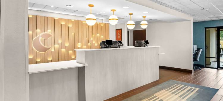 舒适酒店(Comfort Inn)图片