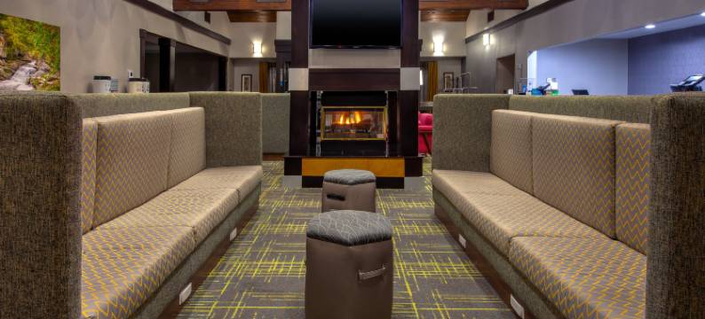 克利夫兰机场/米德尔堡高地欢朋套房酒店(Hampton Inn & Suites Cleveland-Airport/Middleburg Heights)图片