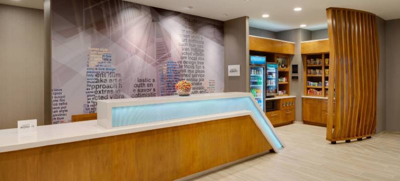 SpringHill套房由万豪酒店印第安纳波利斯基石(SpringHill Suites Indianapolis Keystone)图片