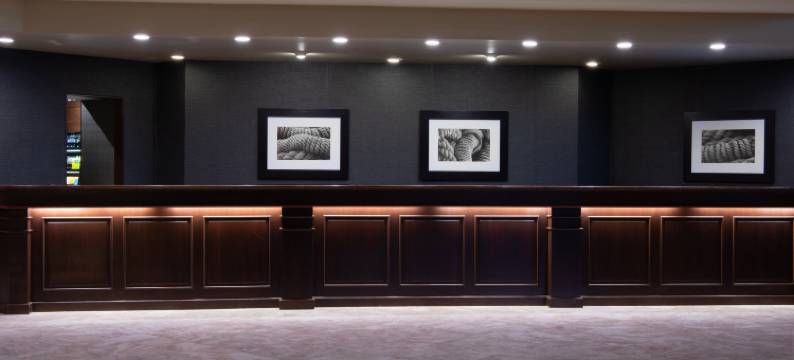 圣迭戈使命谷喜来登酒店(Sheraton Mission Valley San Diego Hotel)图片