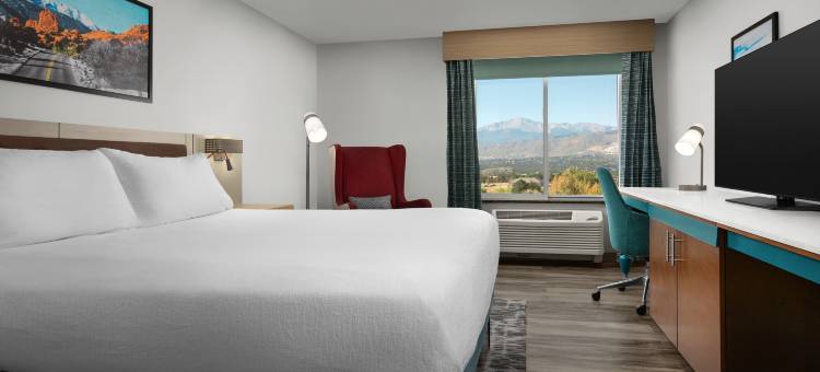 科罗拉多斯普林斯希尔顿花园酒店客栈(Hilton Garden Inn Colorado Springs North Air Force Academy)图片
