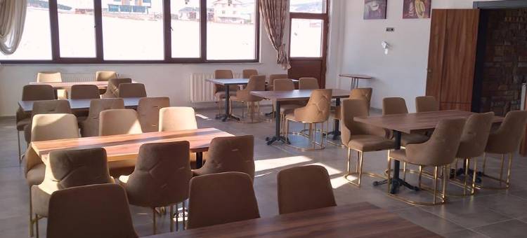 Chalet Khione (Metinoğlu 膳宿公寓) 萨里卡米什(Metinoglu Pansiyon (Chalet Khione) Sarıkamıs)图片