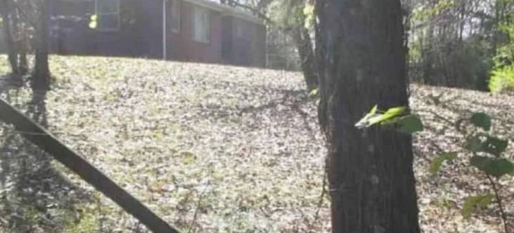 Lida's Place - 3 BR 2 BA Ranch House - 7.6 miles to Grenada Lake图片