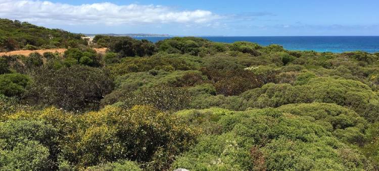 Ocean View overlooking Vivonne Bay - minutes' walk to beach图片