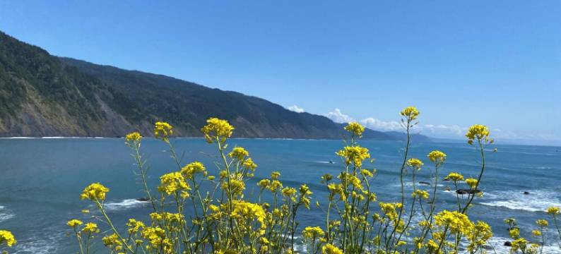 The Beach House with Beautiful Ocean Views!图片