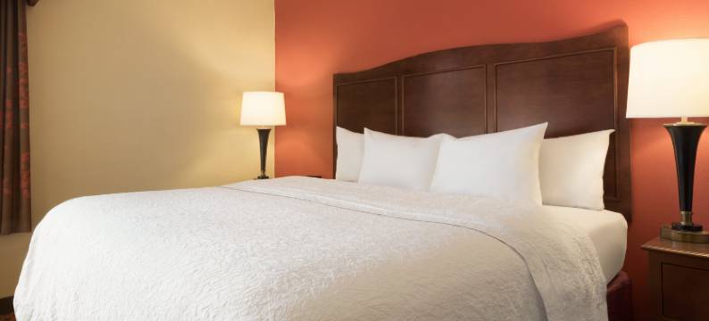 希尔顿欢朋酒店-巴特尔克里克(Hampton Inn Battle Creek)图片