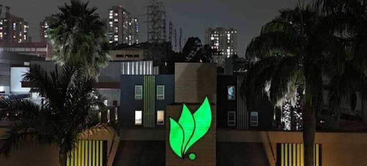 薄荷汽车旅馆(Mint Motel)图片