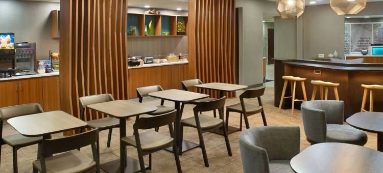 亚特兰大六旗游乐园万豪SpringHill酒店(SpringHill Suites Atlanta Six Flags)图片