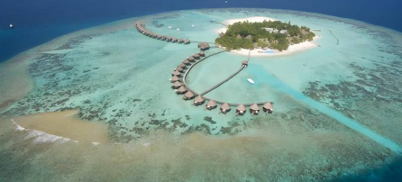 马尔代夫蓝色美人蕉岛水疗度假村(Thulhagiri Island Resort & Spa)图片