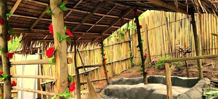 辛加隆自然营地山酒店(Singalong Nature Camphill Site)图片