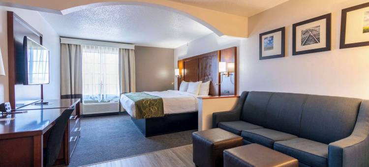 斯普林菲尔德舒适套房酒店(Comfort Suites)图片