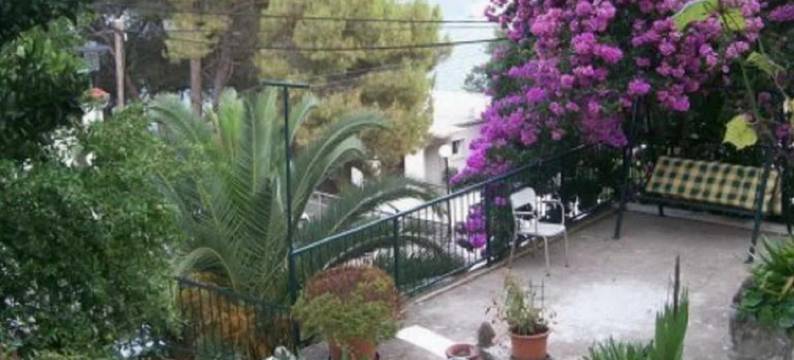 Laura公寓(Apartments Laura Mljet)图片