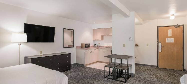 布尔什瑞昂美洲最佳价值酒店(Americas Best Value Inn Birch Run)图片