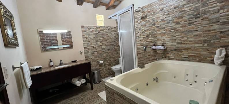 湖滨庄园精品酒店(Hacienda del Lago Boutique Hotel)图片