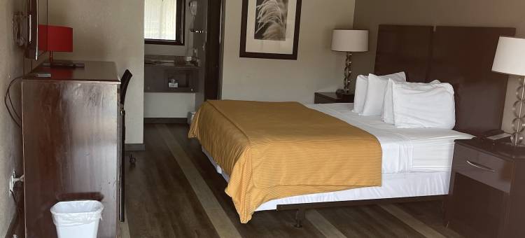 皇家套房汽车旅馆(Royal Inn & Suites)图片