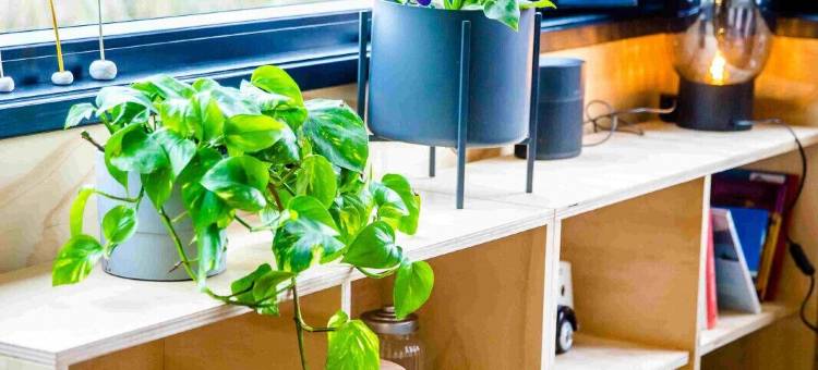 水屋里德维克(Waterlodge Reade Wikel)图片