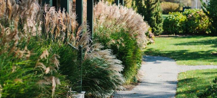 城堡山旅馆(Castle Hill Inn)图片