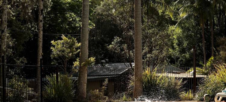 沃宁山雨林公园旅馆(Mt Warning Rainforest Park)图片