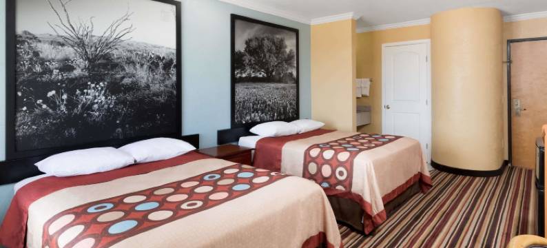 米德兰速8酒店(Super 8 by Wyndham Midland)图片