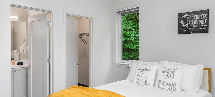 尤达的沼泽套房(Yoda's Swamp Suite)图片