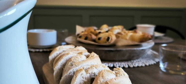 克莱门特尼亚(Clementenia)图片