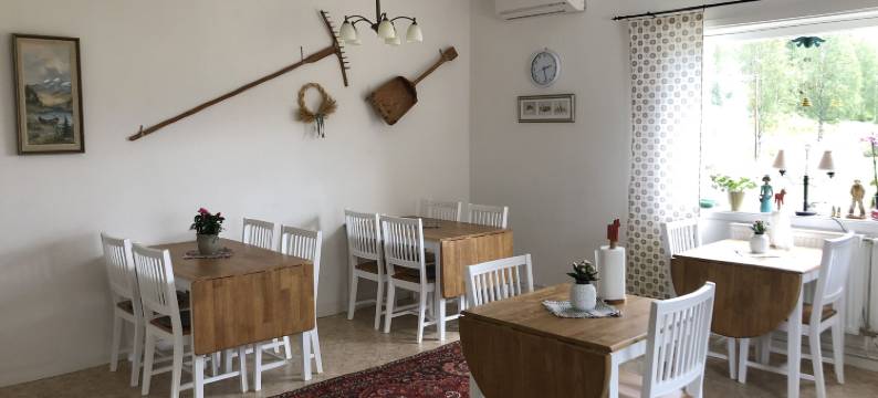 赛伦花园酒店(Sälengården)图片