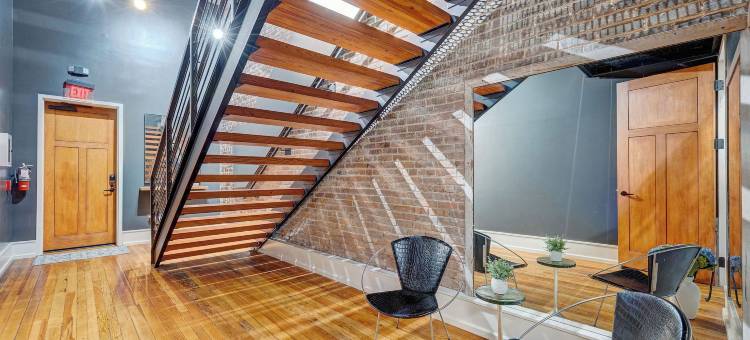 豪华220(Luxe 220)图片