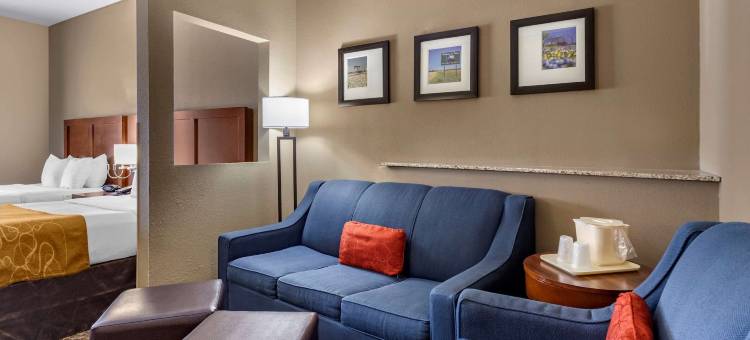 舒适套房酒店(靠近德克萨斯A&M科尔普斯克里斯蒂)(Comfort Suites Near Texas A&M - Corpus Christi)图片