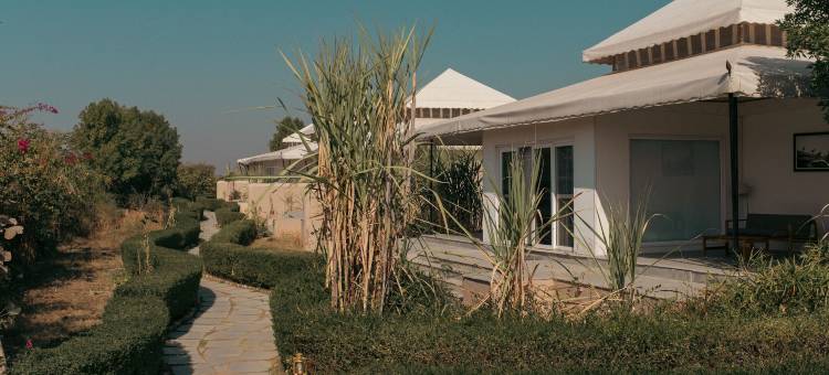 Brij Pola, Jawai - 带私人泳池的豪华丛林营地(Brij Pola, Jawai - Luxury Jungle Camp with Private Pools)图片