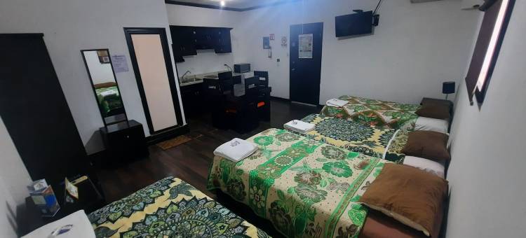 加西亚斯套房酒店(Hotel Garcias Suites)图片