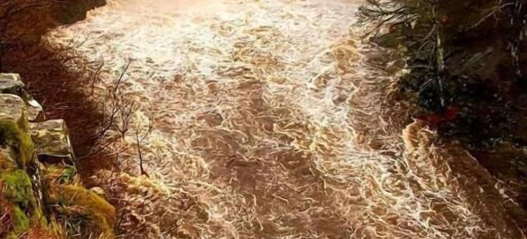 高力酒店(High Force Hotel)图片