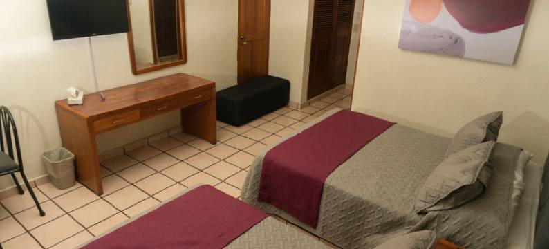 特皮克梅兰妮酒店(Hotel Melanie Tepic)图片