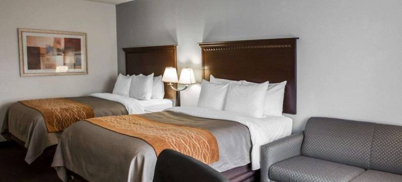 舒适酒店和套房卢伯顿中心I-95(Comfort Inn & Suites Lumberton Central I-95)图片