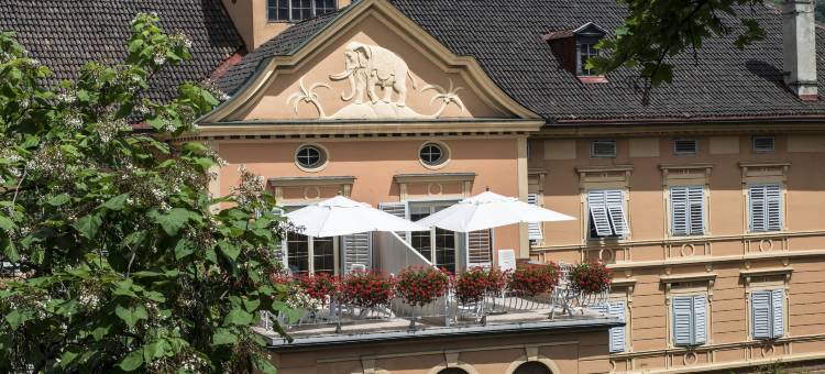 大象酒店(Hotel Elephant)图片