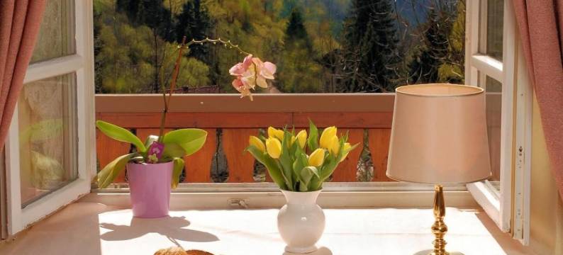 赫斯臣酒店(Hotel Hirschen)图片